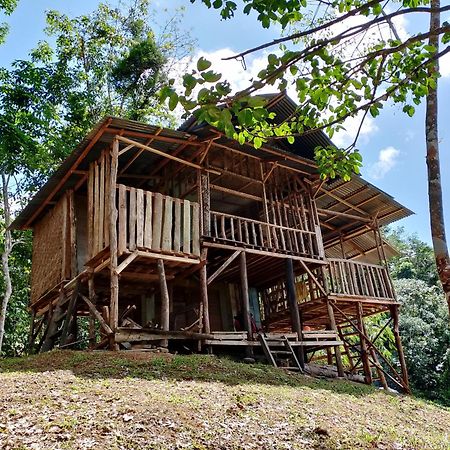 Orangutantreksumatra & Lovely Jungle Lodge Only Book If You Are Treking With Us Bukit Lawang Esterno foto