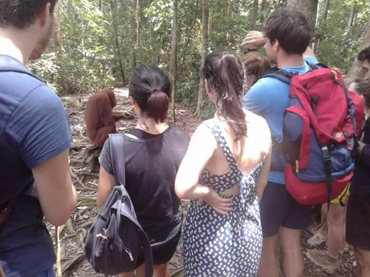 Orangutantreksumatra & Lovely Jungle Lodge Only Book If You Are Treking With Us Bukit Lawang Esterno foto