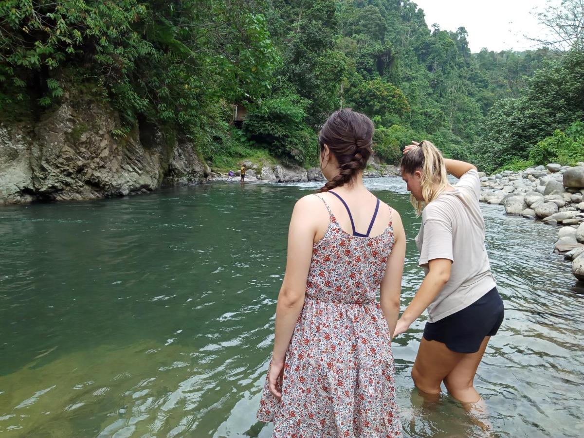Orangutantreksumatra & Lovely Jungle Lodge Only Book If You Are Treking With Us Bukit Lawang Esterno foto