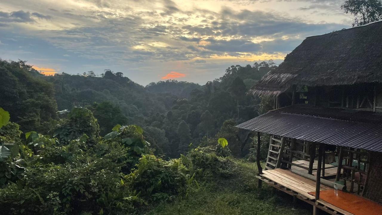 Orangutantreksumatra & Lovely Jungle Lodge Only Book If You Are Treking With Us Bukit Lawang Esterno foto