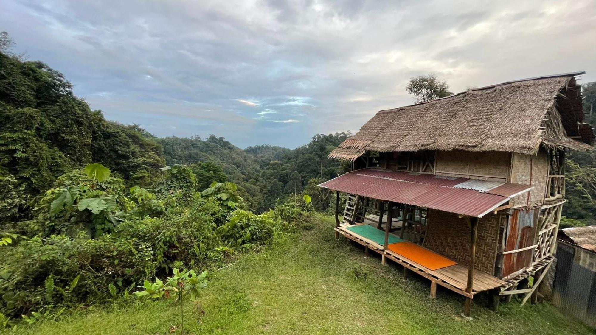 Orangutantreksumatra & Lovely Jungle Lodge Only Book If You Are Treking With Us Bukit Lawang Camera foto