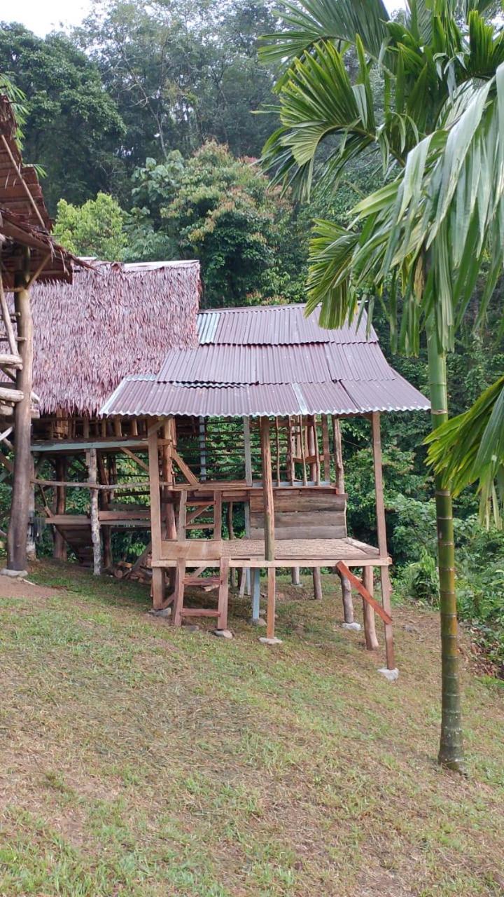 Orangutantreksumatra & Lovely Jungle Lodge Only Book If You Are Treking With Us Bukit Lawang Esterno foto