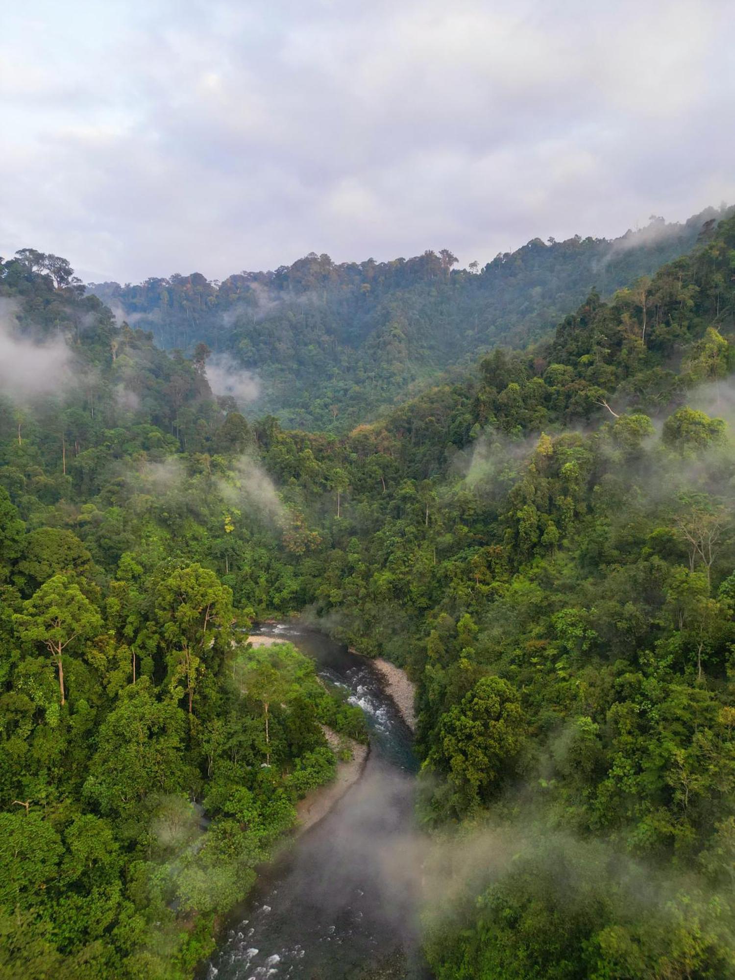 Orangutantreksumatra & Lovely Jungle Lodge Only Book If You Are Treking With Us Bukit Lawang Esterno foto