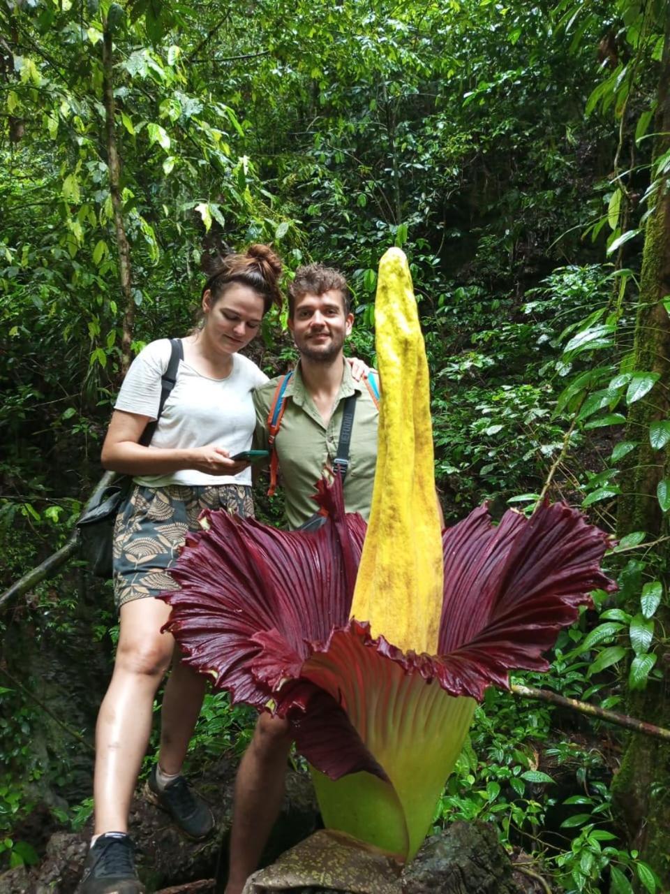 Orangutantreksumatra & Lovely Jungle Lodge Only Book If You Are Treking With Us Bukit Lawang Esterno foto
