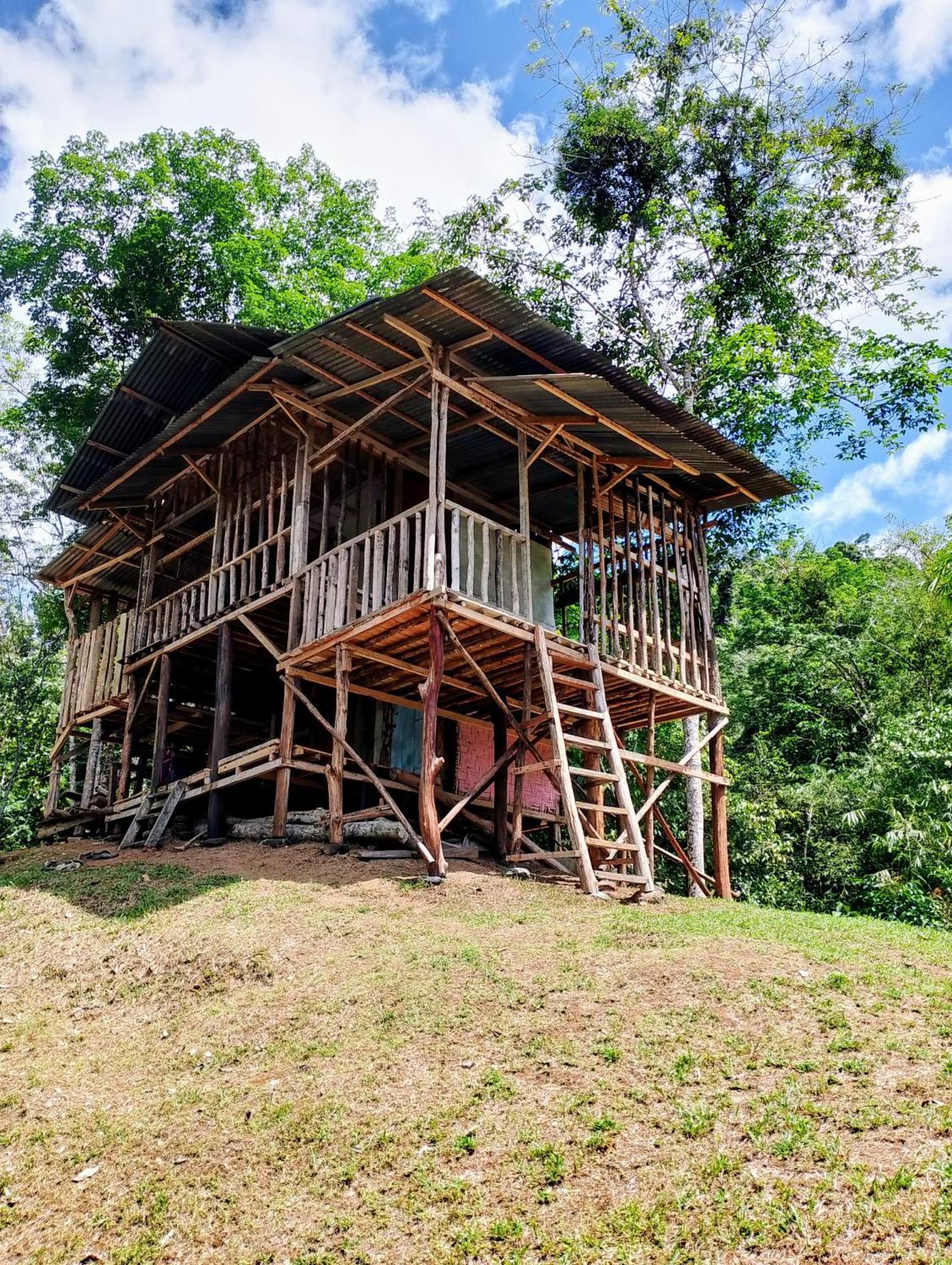 Orangutantreksumatra & Lovely Jungle Lodge Only Book If You Are Treking With Us Bukit Lawang Esterno foto
