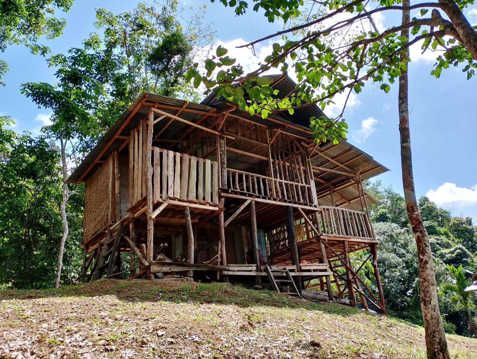 Orangutantreksumatra & Lovely Jungle Lodge Only Book If You Are Treking With Us Bukit Lawang Esterno foto